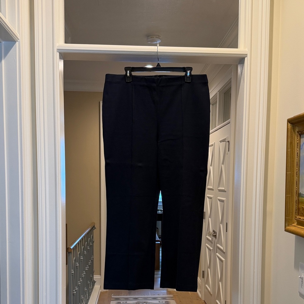 Banana Republic navy Pants